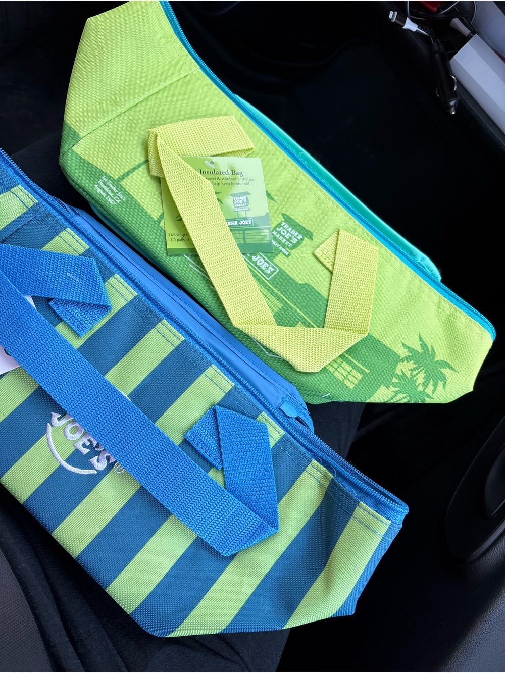 Trader Joe's Lime Green & Teal Insulated Tote Duo